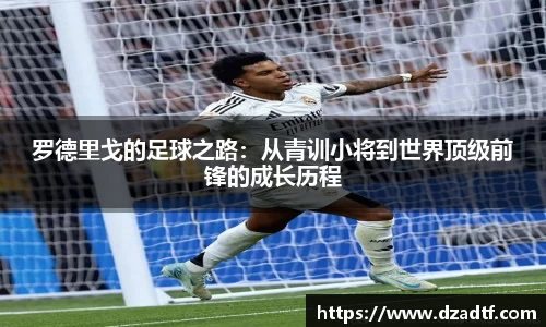 doll彩乐园官网